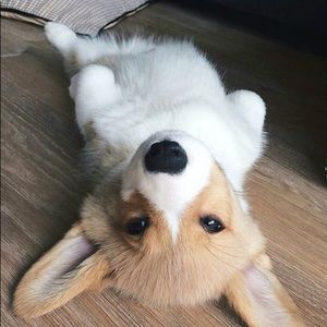 Meet your Posher, Joe